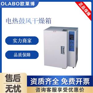 一恒高温鼓风干燥箱BPG-9050BH